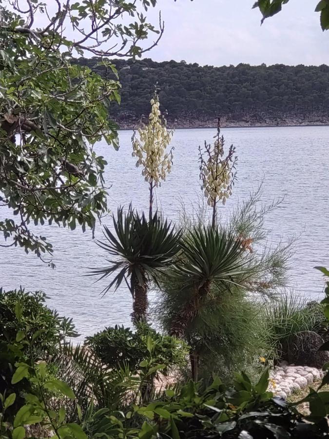 Guest House Palme Barbat na Rabu Exterior foto